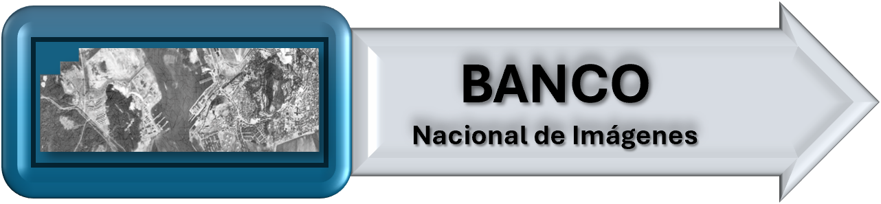 Imagen8741.png